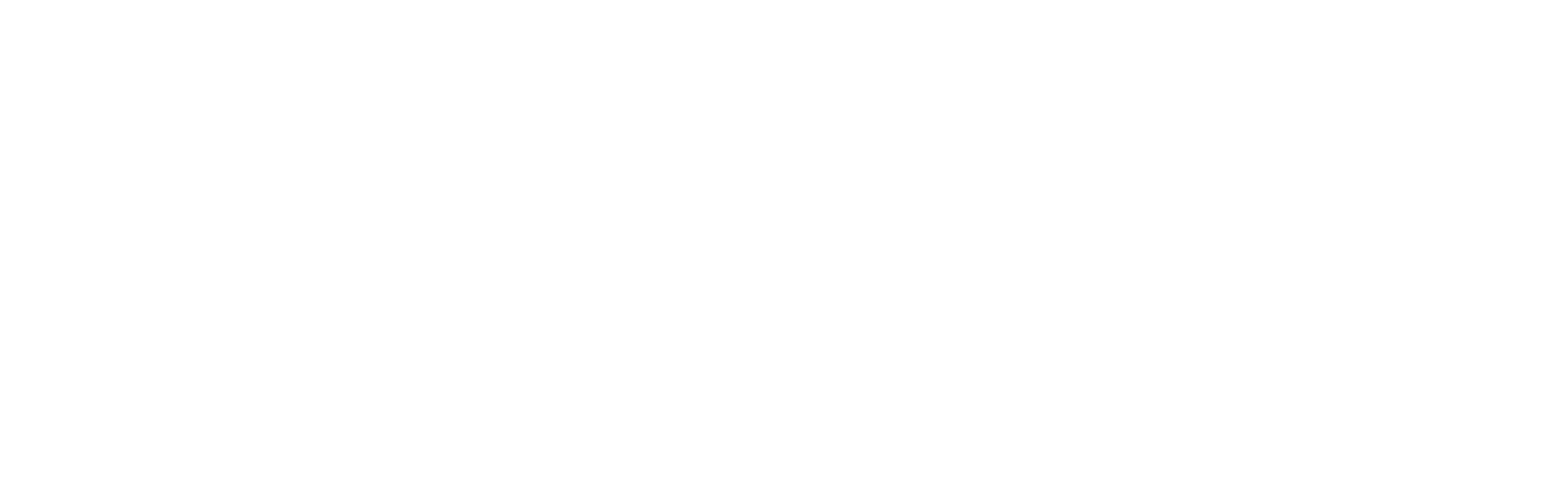 Co Print 3D Printing Technologies
