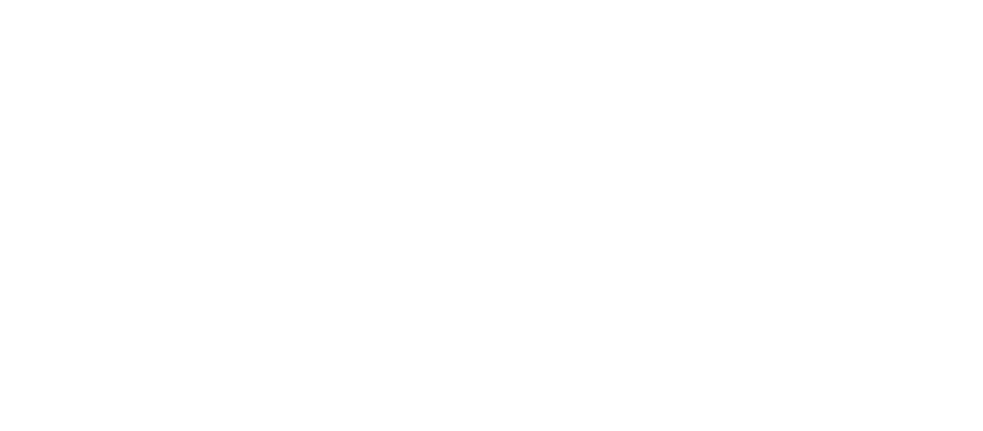 RISE-X Technology